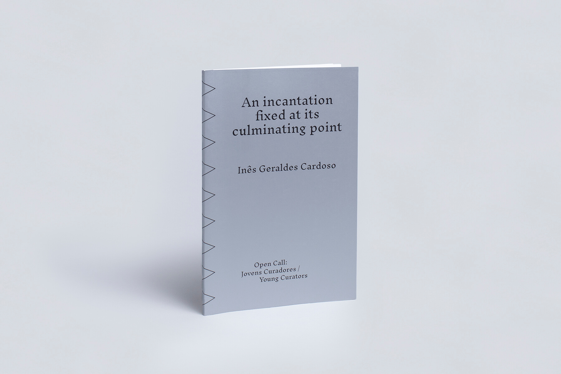 An incantation fixed at its culminating point Ines geraldes cardoso fotografia fabio cunha galerias municipais capa
